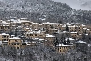Βίτσα